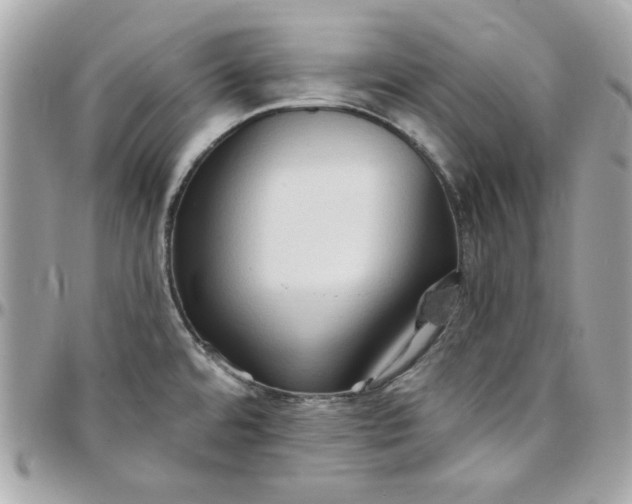 X0000097771480200803211725