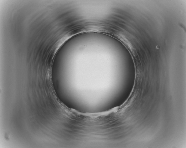 X0000097771481200803211725
