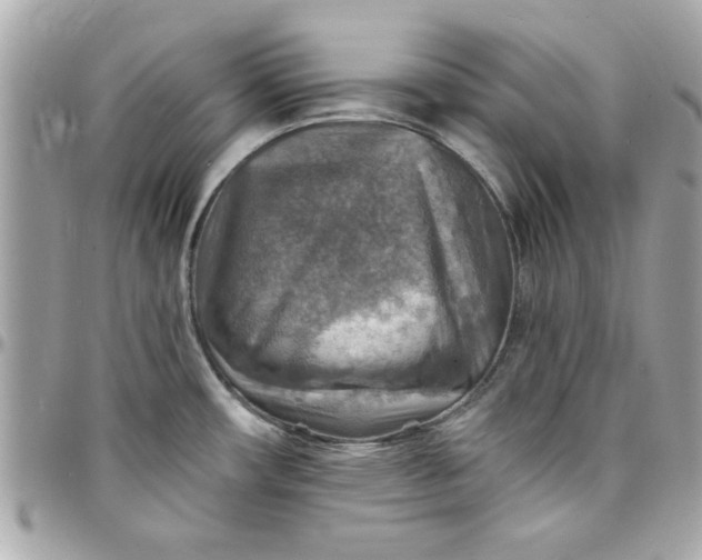 X0000097771482200803211725
