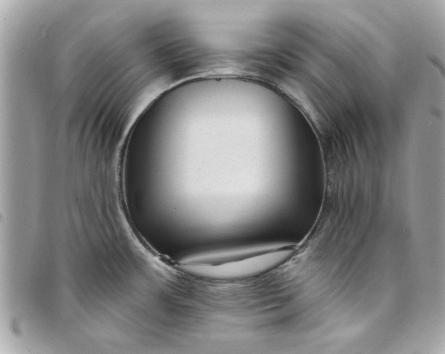 X0000097771483200803211725