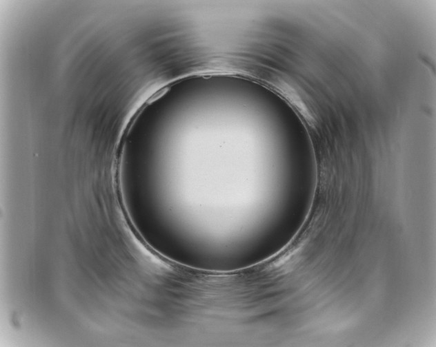 X0000097771484200803211725