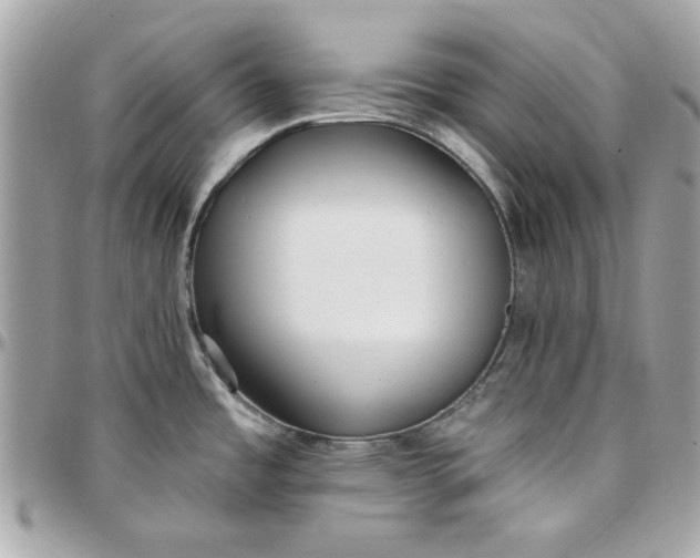 X0000097771485200803211725