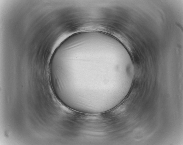 X0000097771486200803211725