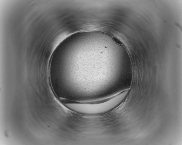 X0000097771487200803211725
