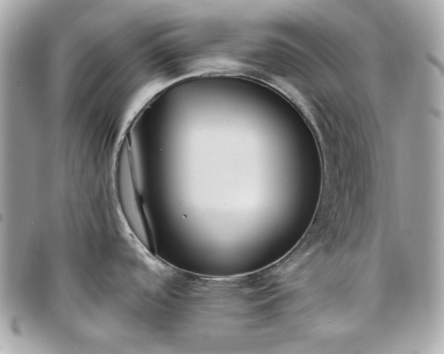 X0000097771488200803211725