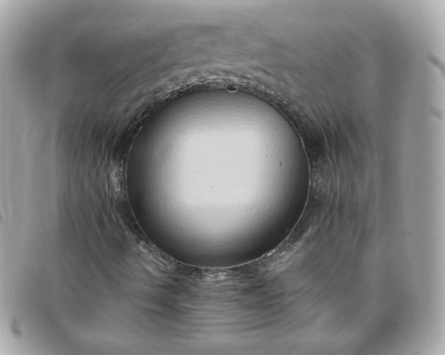 X0000097771490200803211724
