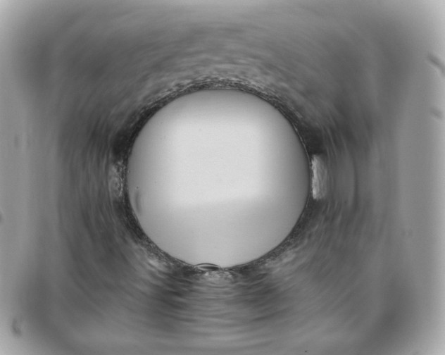 X0000097771491200803211724