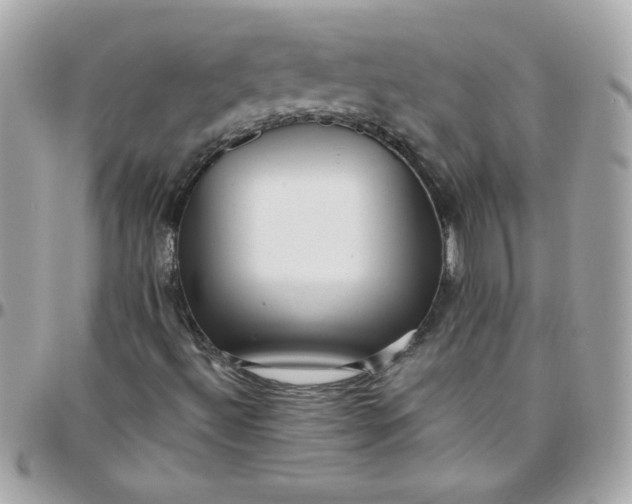 X0000097771492200803211724