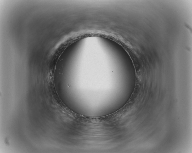 X0000097771495200803211724