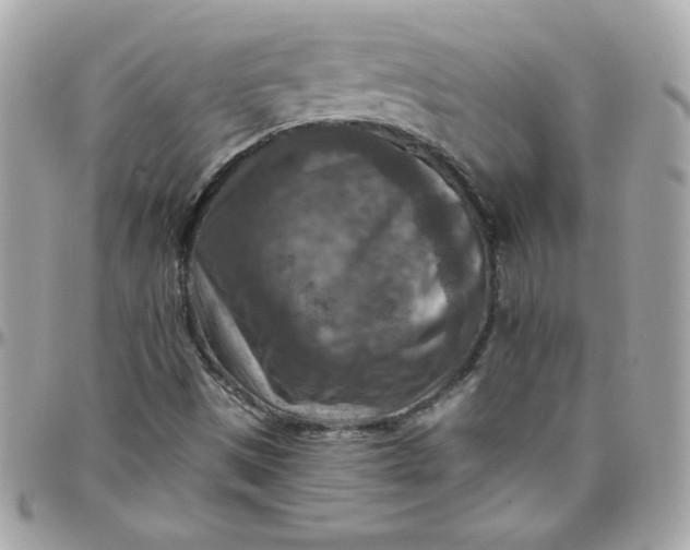 X0000097771497200803211724