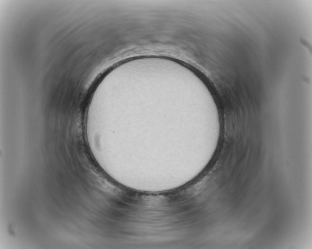 X0000097771498200803211724