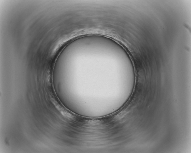 X0000097771499200803211724