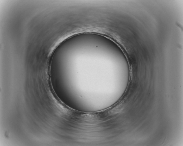 X0000097771500200803211724