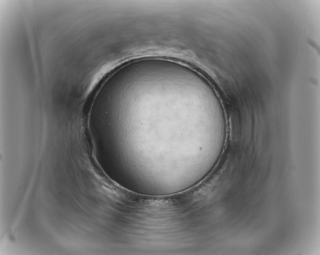 X0000097771501200803211724