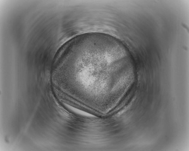 X0000097771505200803211724