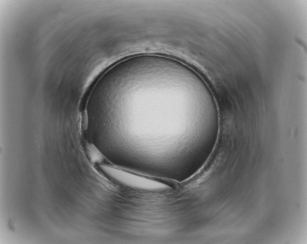 X0000097771509200803211724
