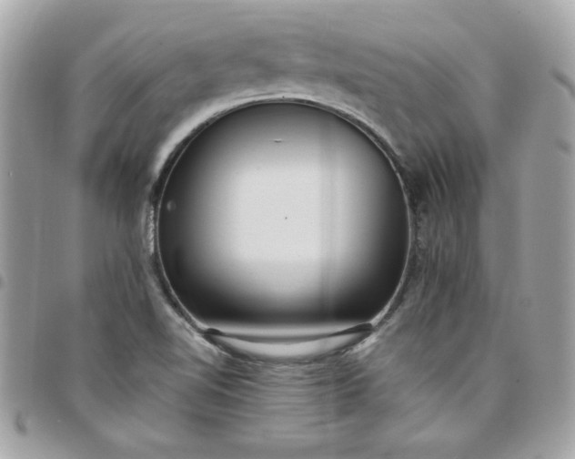 X0000097771510200803211724