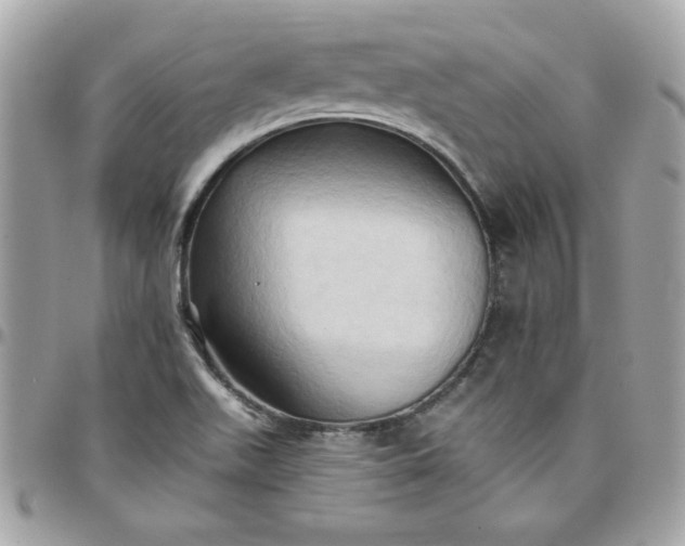 X0000097771511200803211724