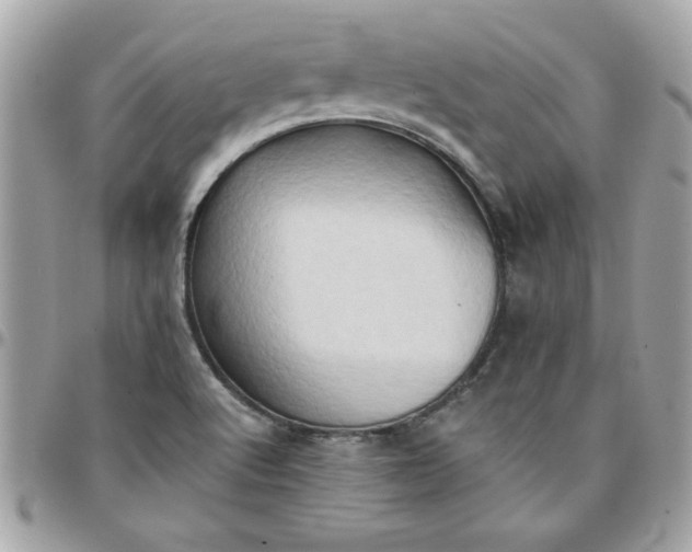 X0000097771512200803211724
