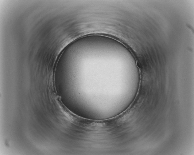 X0000097771513200803211724