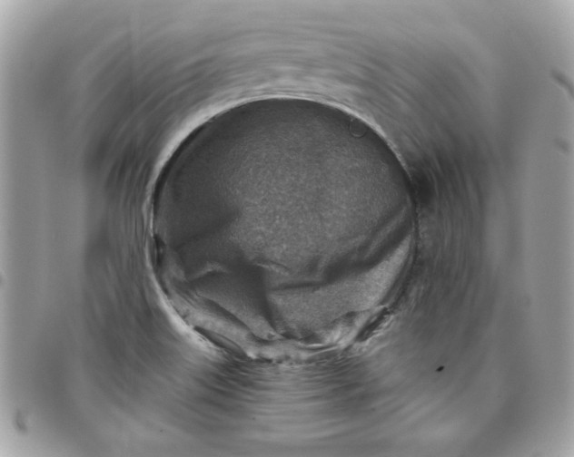 X0000097771515200803211725