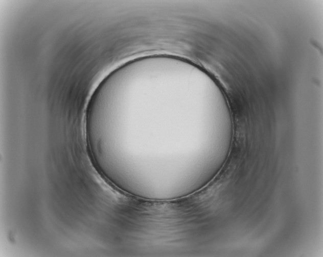 X0000097771516200803211725