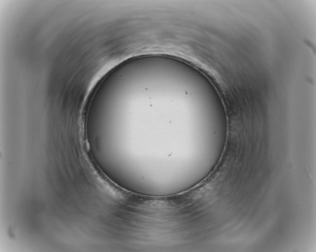 X0000097771517200803211725