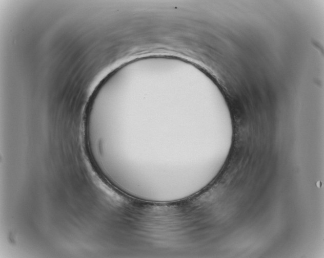 X0000097771518200803211725
