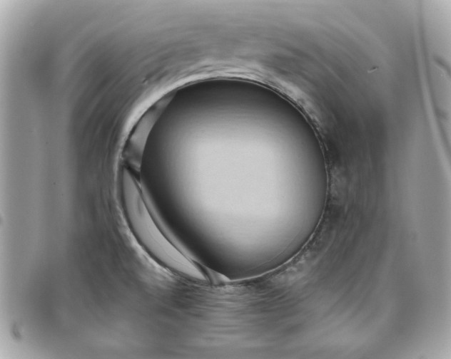 X0000097771520200803211725