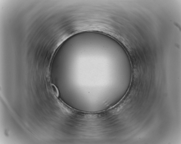 X0000097771521200803211725
