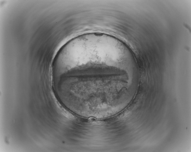 X0000097771522200803211725