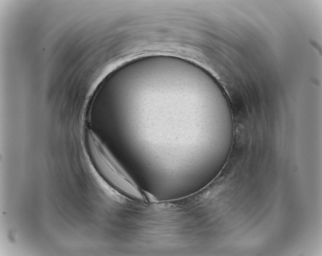X0000097771523200803211725