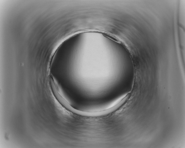 X0000097771524200803211725