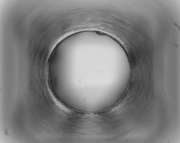 X0000097771526200803211725
