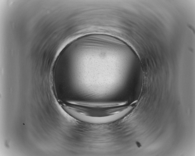 X0000097771531200803211725