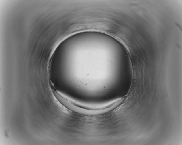 X0000097771532200803211725