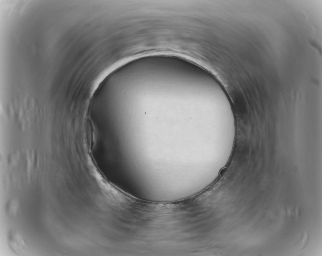 X0000097771534200803211725