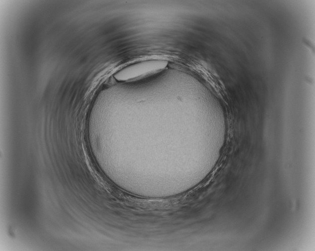 X0000097770001200803281650