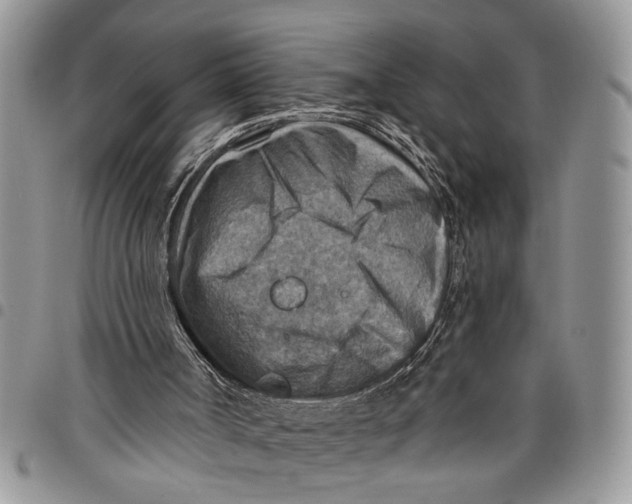 X0000097770002200803281650