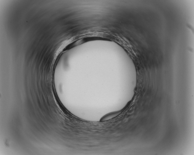 X0000097770003200803281650