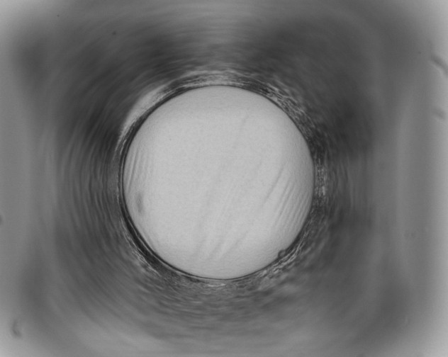 X0000097770004200803281650