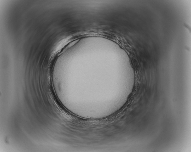 X0000097770005200803281650