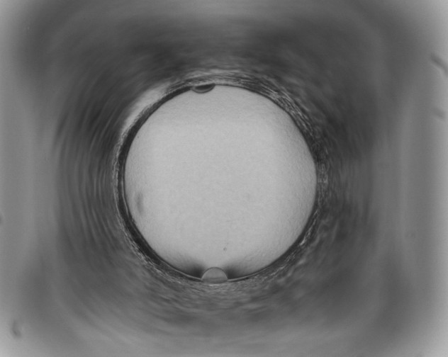 X0000097770006200803281650