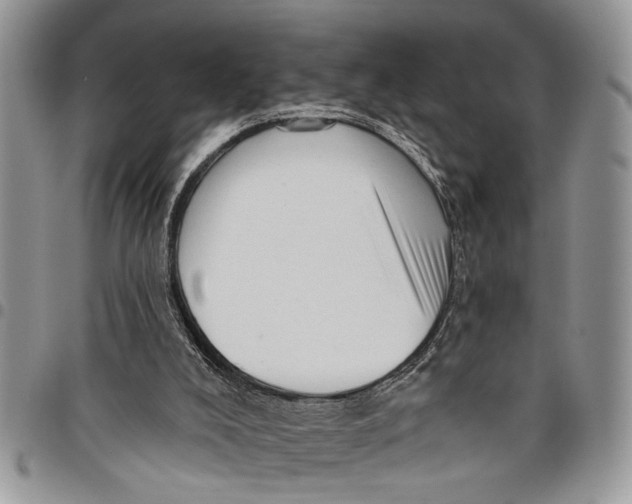 X0000097770008200803281650