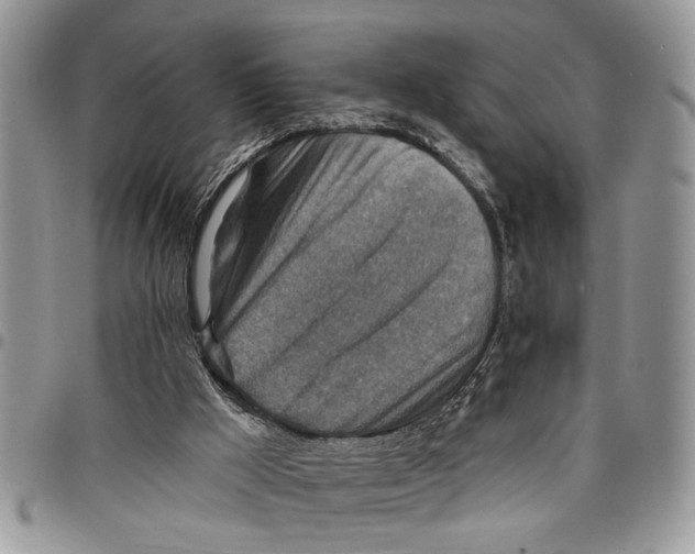 X0000097770009200803281650