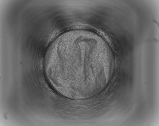 X0000097770010200803281650