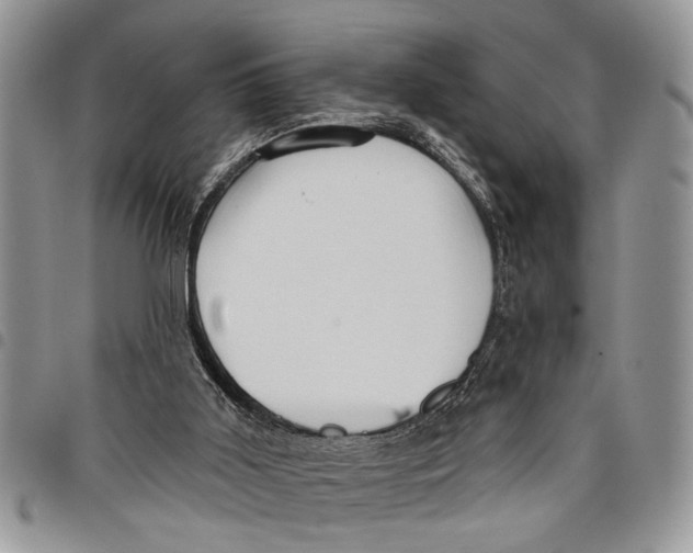 X0000097770011200803281650