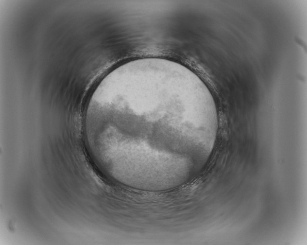 X0000097770012200803281650