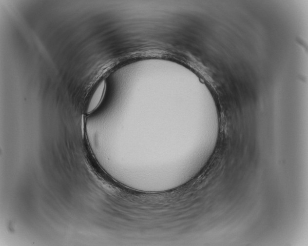 X0000097770013200803281650