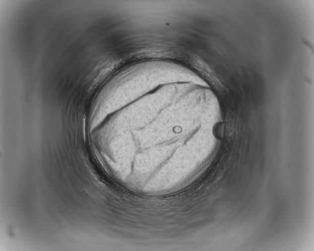 X0000097770014200803281650